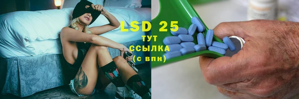крисы Дмитров