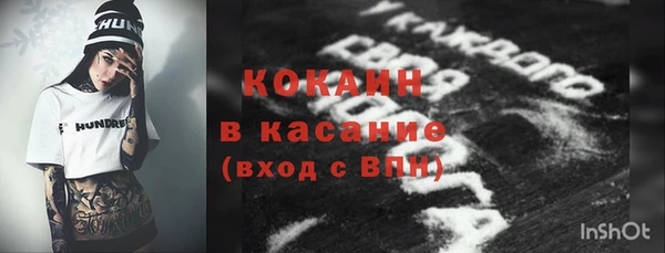 крисы Дмитров