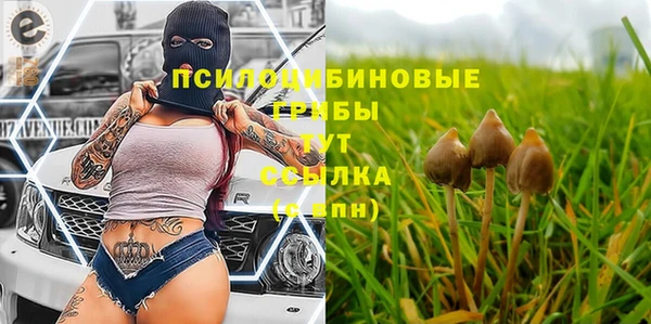 каннабис Дмитриев