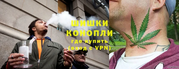 крисы Дмитров