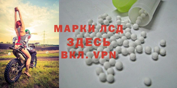 крисы Дмитров