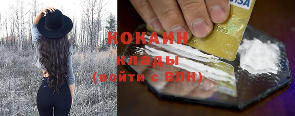 крисы Дмитров